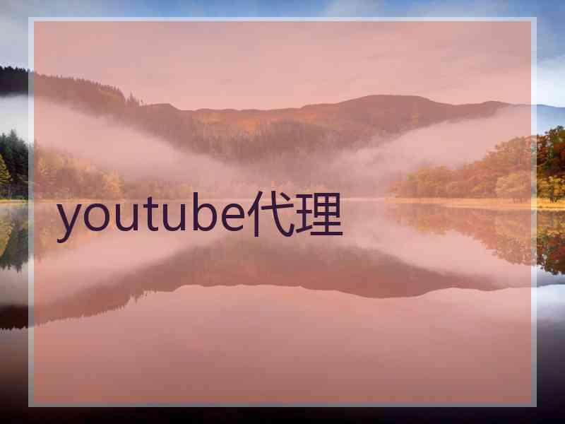 youtube代理