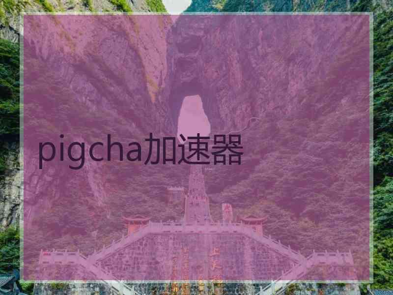 pigcha加速器